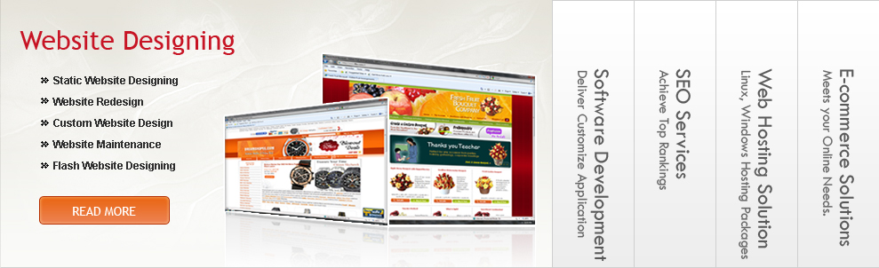 Static Website Designing, Dynamic Website Designing,Website Redesign,Custom Website Design,Website Maintenance,Flash Website Designing